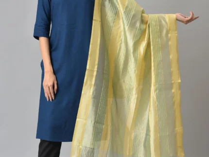 Multi Coloured Banarasi Dupatta