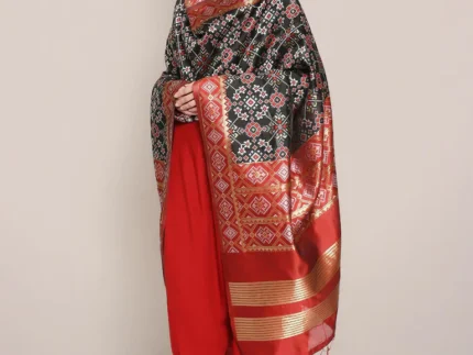 Beautiful Banarasi Patola Silk Dupatta