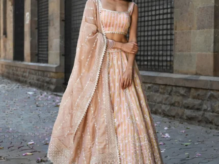 Sindhuri Banarsi Light Pink Lehenga