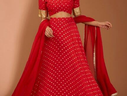 Red Georgette Lace Work Lehenga Set