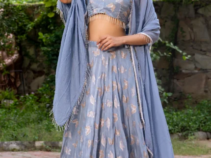Grey Upada Silk Butterfly Lehenga Set