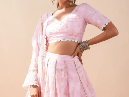 Mulmul Keylong Pink Organza Lehenga