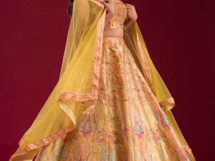 Mustard Silver Zariwork Banarasi Readymade Lehenga